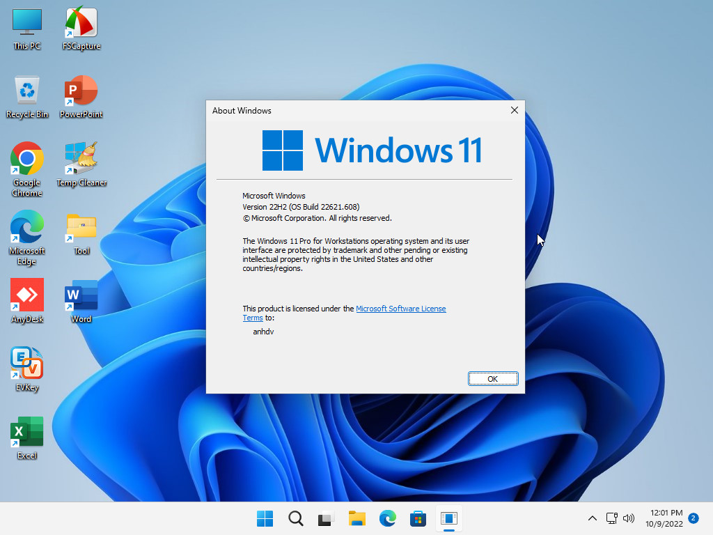 Windows 11 Pro For Worksation 22H2 AIO Desktop
