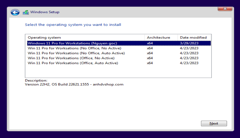 Windows 11 Pro For Worksation 22H2 Premium V2